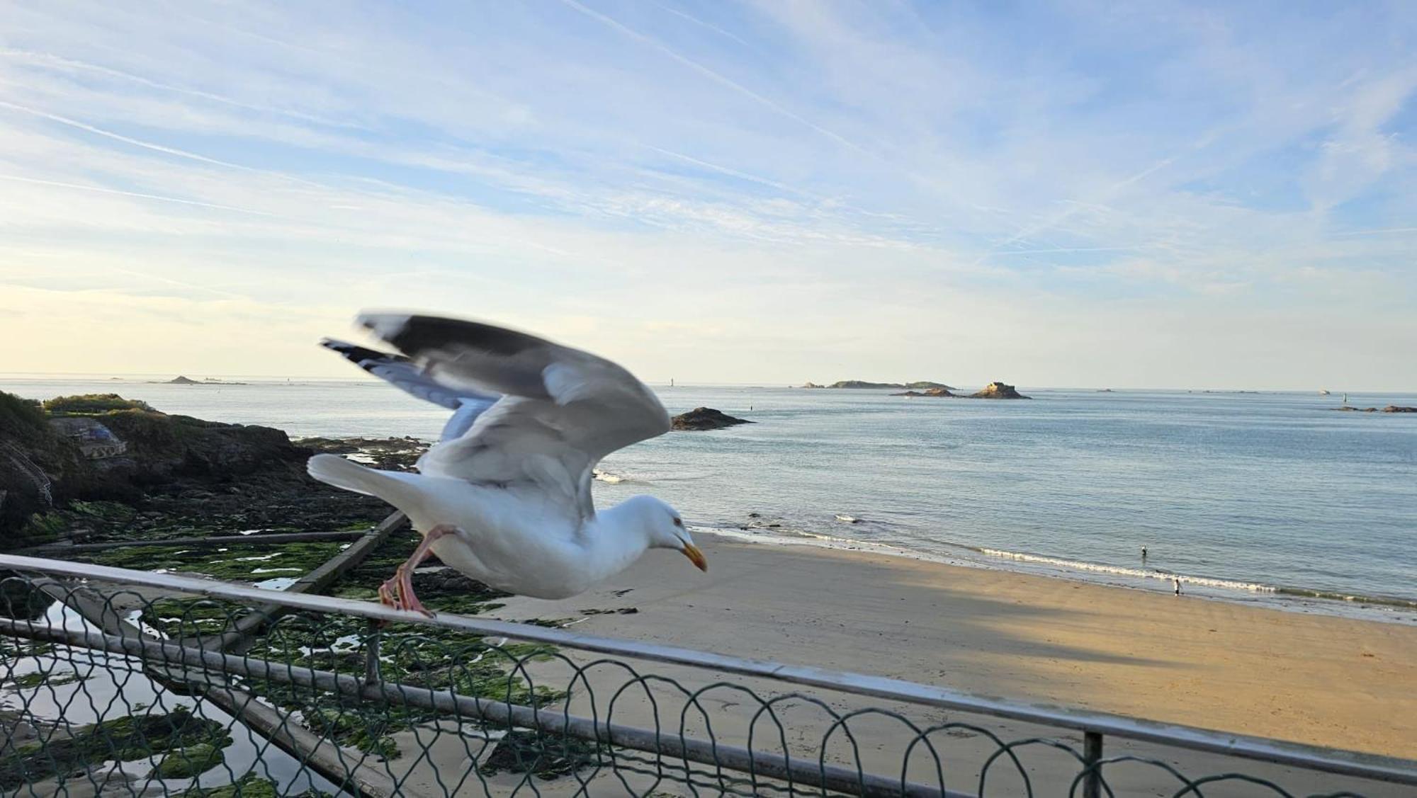 Vue Pleine Mer A La Perle Marine - La Terrasse Dinard Exteriér fotografie
